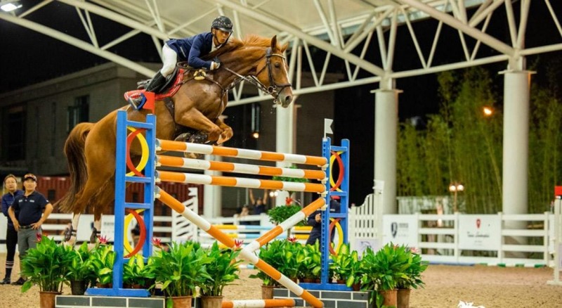 PG娱乐《马术》游戏体验解析：沉浸式骑术竞技与策略养成的全新融合